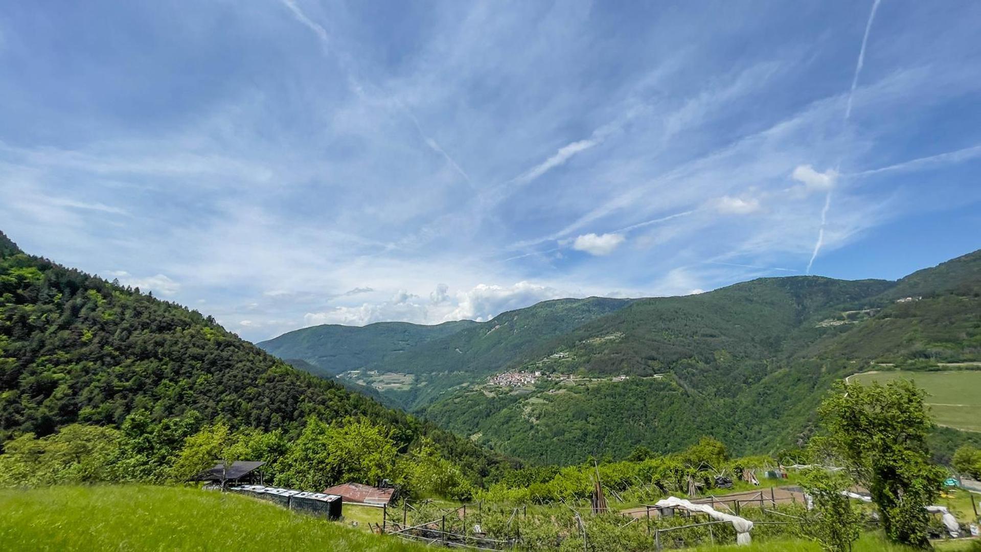 Mirtilla Alloggio per agriturismo